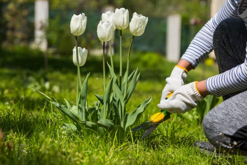 Gardening team providing professional outdoor care in Tolworth