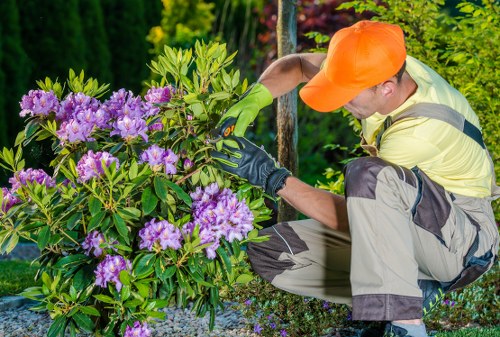 Gardener preparing an outdoor service area before work begins