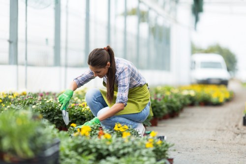 Final review of a gardening service complaint