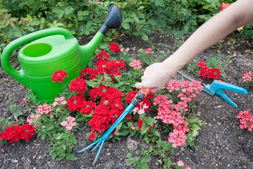 Healthy green lawn care in Tolworth with neat mowing and edging