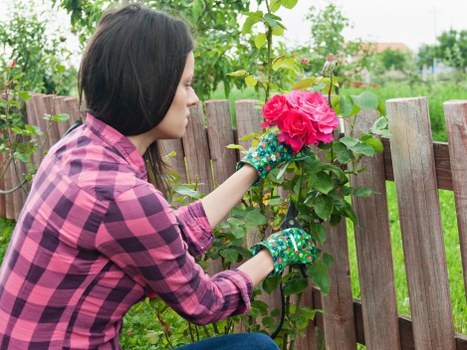 Quality control in professional gardening services