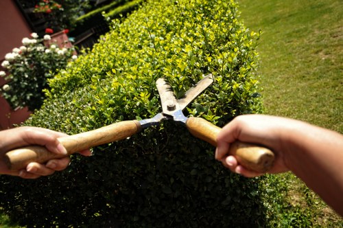 Gardeners Tolworth planning a safe worksite before starting a job