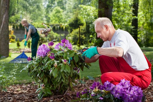 Professional tree removal service in Tolworth near residential property
