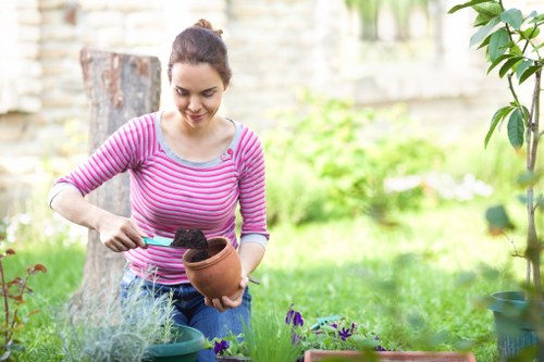 Soft landscaping in Tolworth featuring shrubs, lawn, and decorative plants