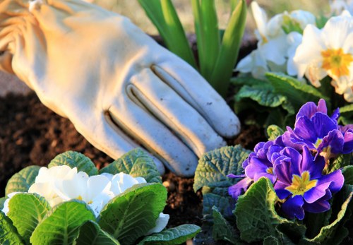 Cookie policy update and consent management for Gardeners Tolworth