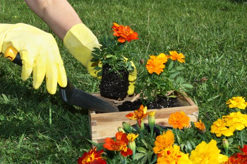 Pruned shrubs and clean garden paths in Tolworth