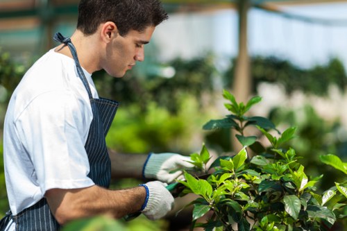 Gardeners Tolworth creating a well-kept outdoor space