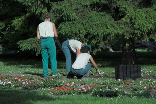 Carefully trimmed lawn and borders in Tolworth