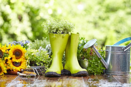 Healthy and balanced Tolworth garden after expert maintenance
