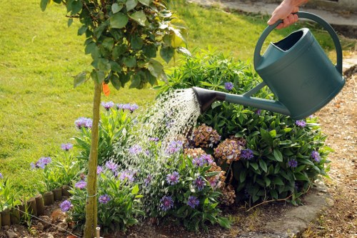 Gardener Tolworth pricing overview with garden clearance and maintenance costs