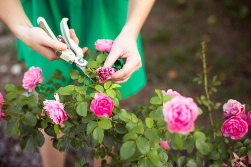 Modern landscape gardening features in Tolworth