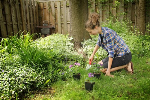 Professional lawn mowing in a Tolworth garden during spring