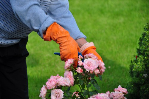 Repairing bare patches and controlling moss in a Tolworth lawn