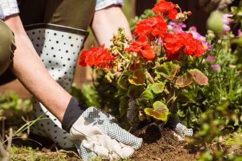 Tolworth gardeners maintaining healthy borders and shrubs