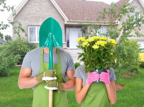 Family-friendly landscaping in Tolworth with lawn and borders