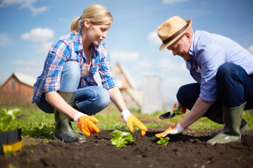Local gardeners in Tolworth providing clear rates for different property styles