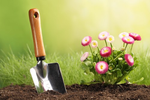 Seasonal garden maintenance work in Tolworth with planting and borders