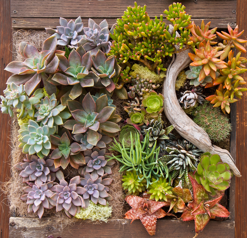 garden outdoor space